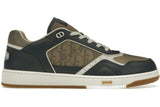 Dior B27 Low Grey Brown