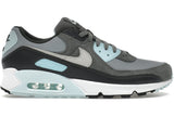 Nike Air Max 90 Light Pumice Smoke Grey