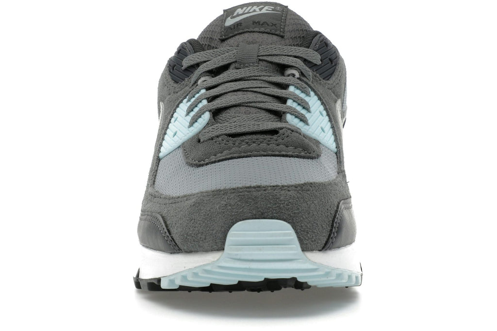 Nike Air Max 90 Light Pumice Smoke Grey