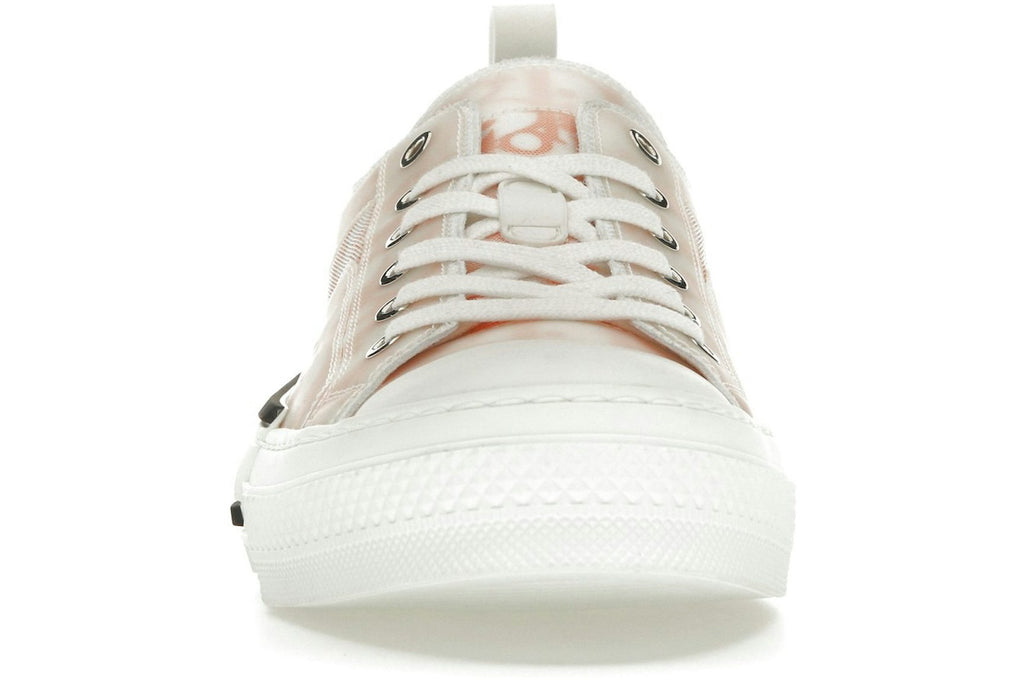 Dior B23 Low Orange Oblique Canvas-2