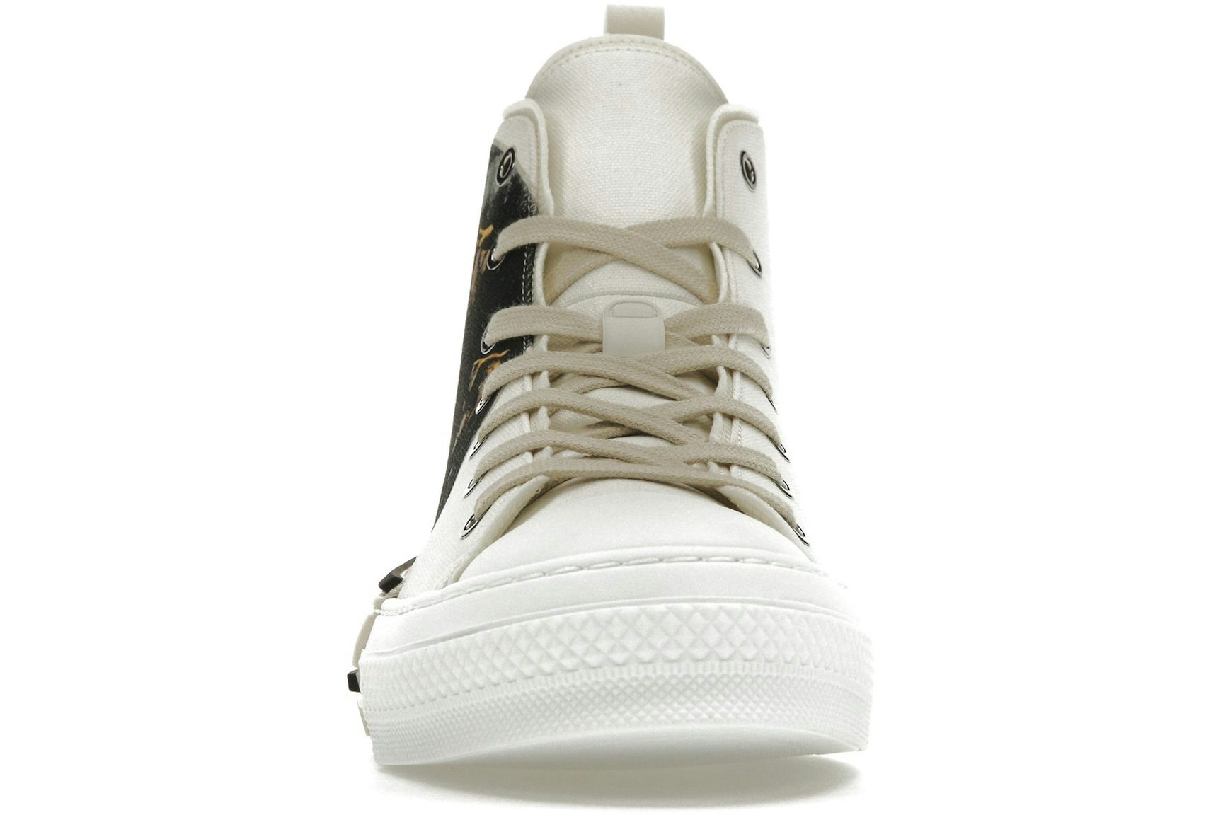 Dior B23 High Top AsteroDior White