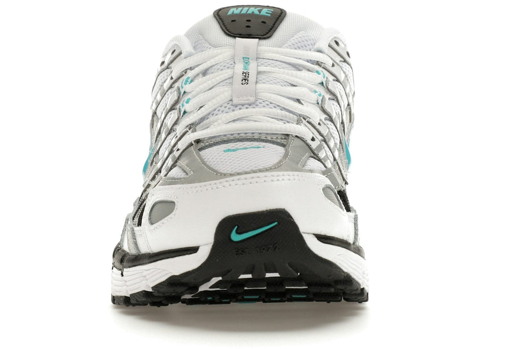 Nike P-6000 Dusty Cactus