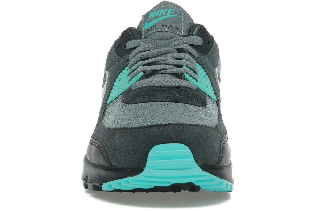 Nike Air Max 90 Cool Grey Dusty Cactus Black Wolf Grey