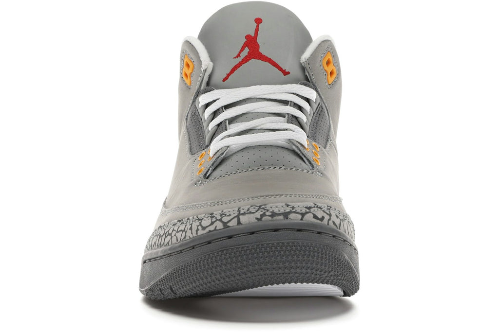 Jordan 3 Retro Cool Grey (2021)-2