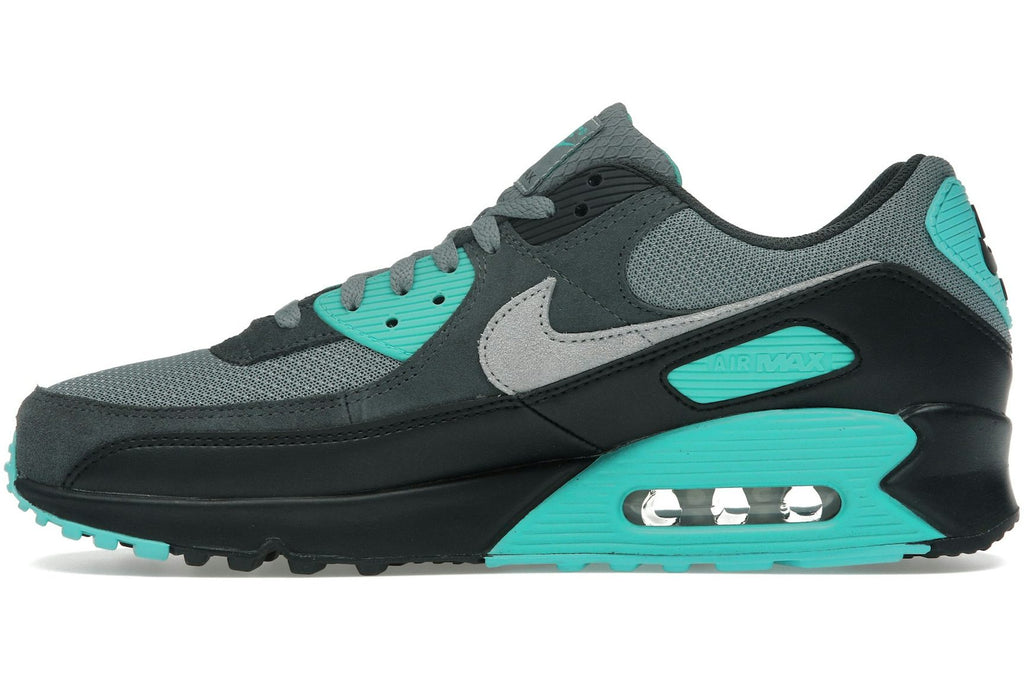 Nike Air Max 90 Cool Grey Dusty Cactus Black Wolf Grey