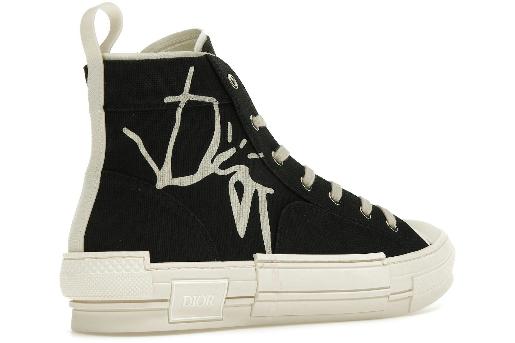 Dior B23 CACTUS JACK Black